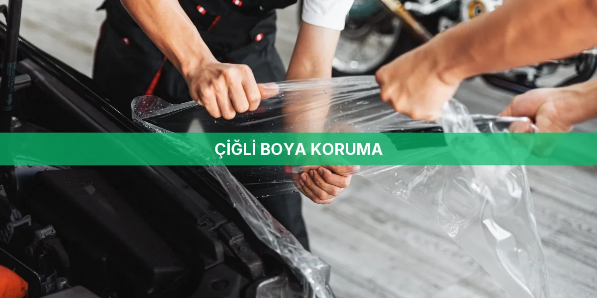 Çiğli Boya Koruma